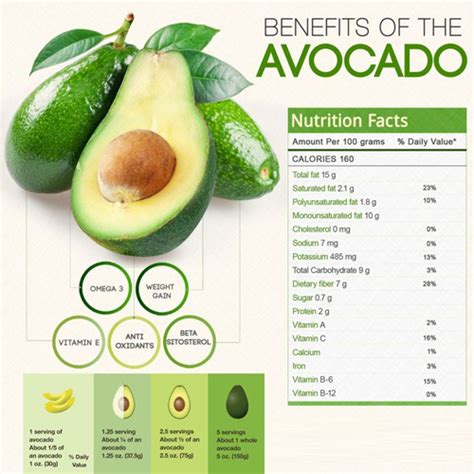 does avocado contain omega 3.